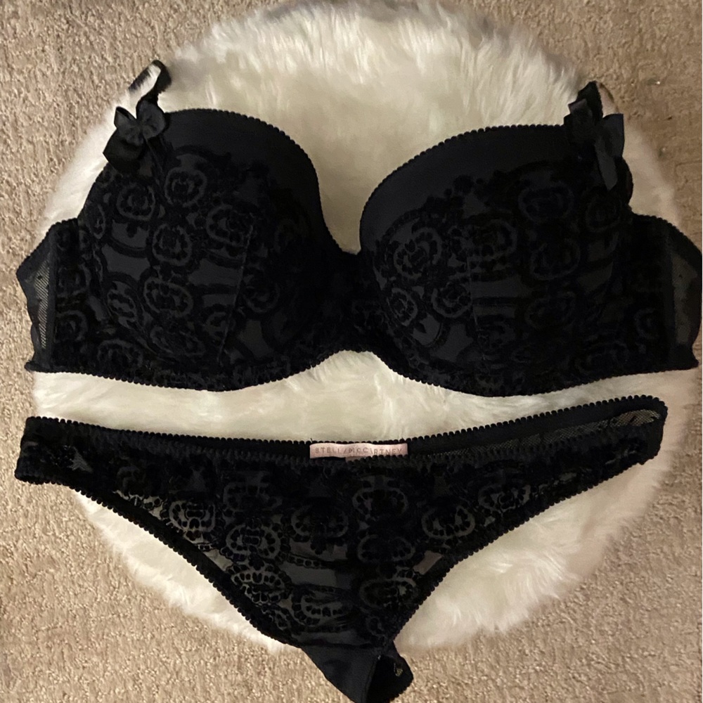 EUC Stella McCartney 36DD bra / L Panty “Freya Filming” set